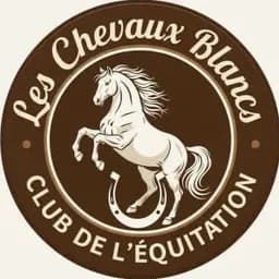 chevaux blancs tipaza