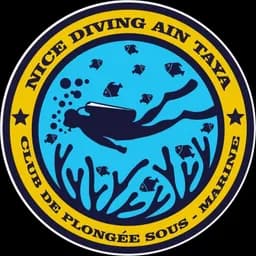 nice diving algerie