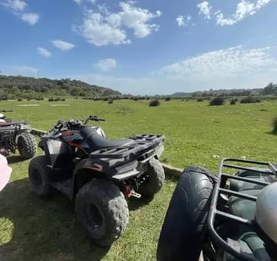 quad-alger-alger-i4