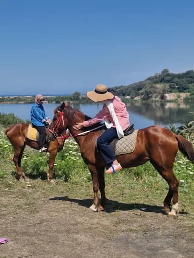 balade-a-cheval-ain-taya-alger-i2