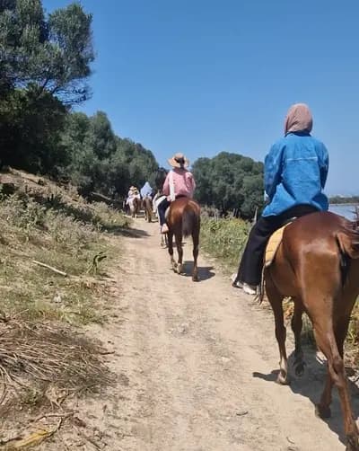 balade-a-cheval-ain-taya-alger-i4