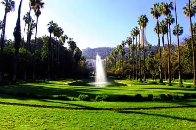 jardin-dessai-du-hamma-alger-i5