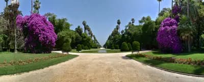 jardin-dessai-du-hamma-alger-i6