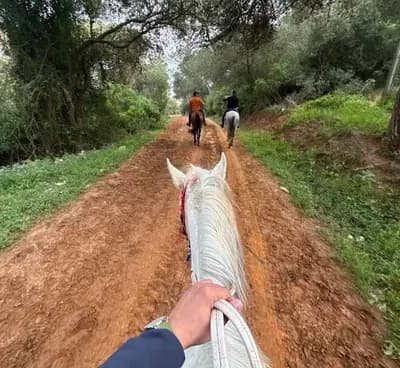 balade-a-cheval-a-tipaza-tipaza-i3