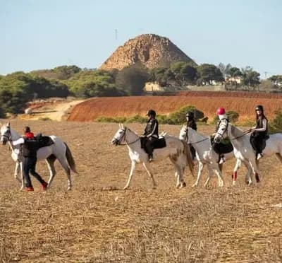 balade-a-cheval-a-tipaza-tipaza-i7