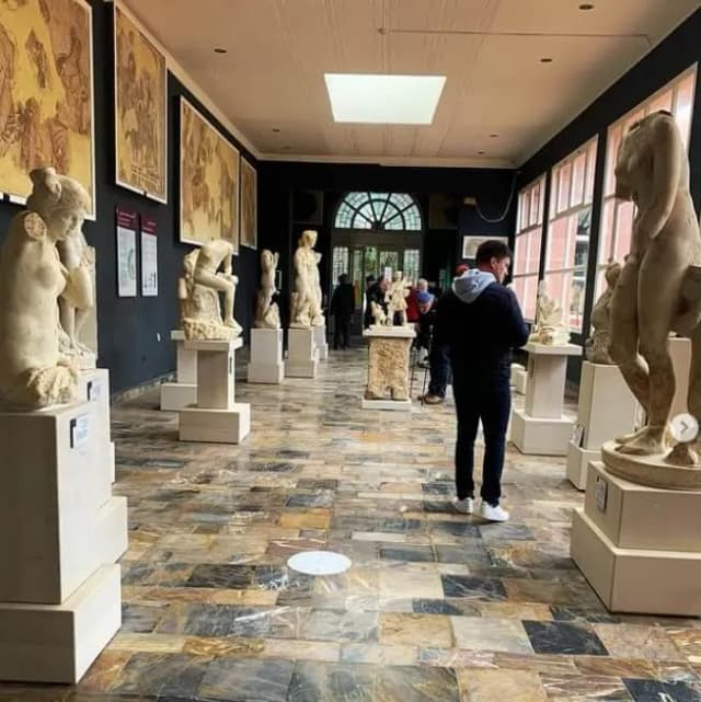 overview image
