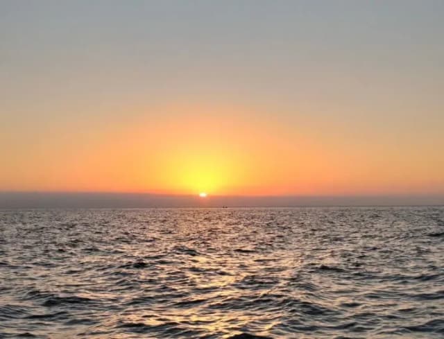 overview image