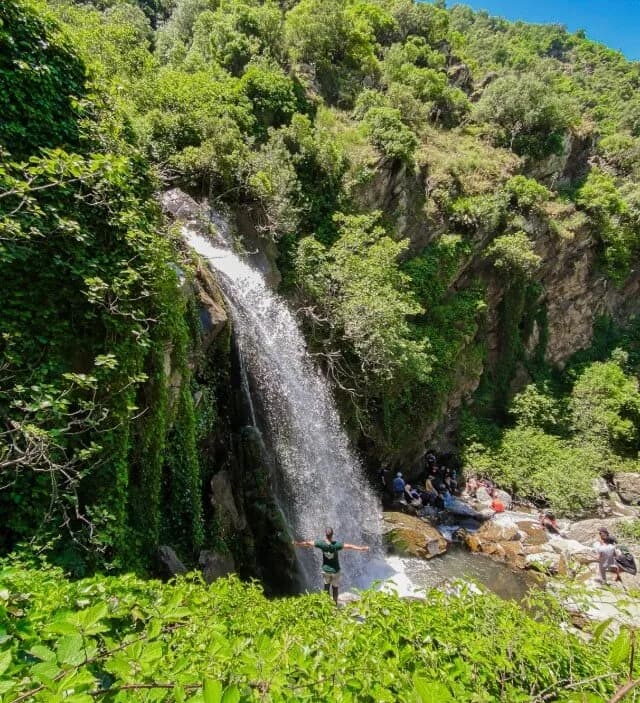 overview image