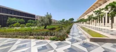 djamaa-el-djazair-a-alger-alger-i2