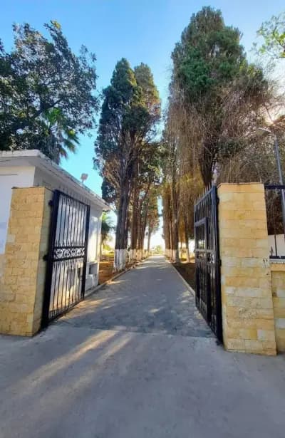 balcon-saint-raphael-a-el-biar-alger-i1