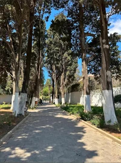 balcon-saint-raphael-a-el-biar-alger-i3