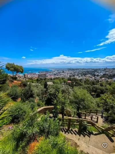 balcon-saint-raphael-a-el-biar-alger-i6