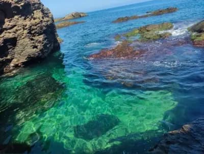 plage-miramar-a-alger-alger-i2