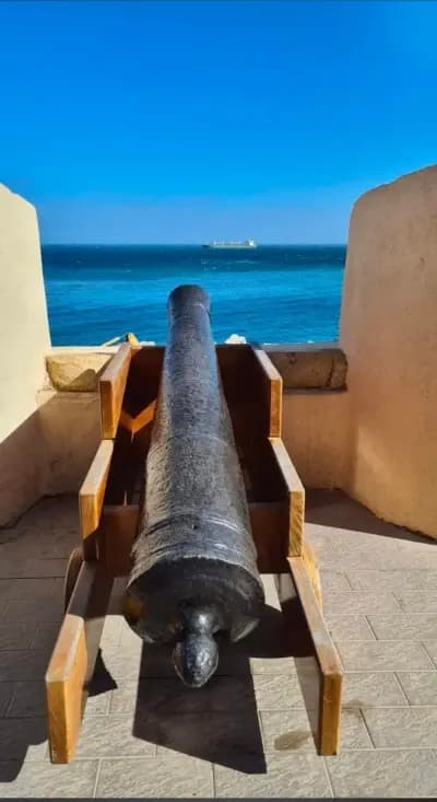 musee-public-national-maritime-alger-i2