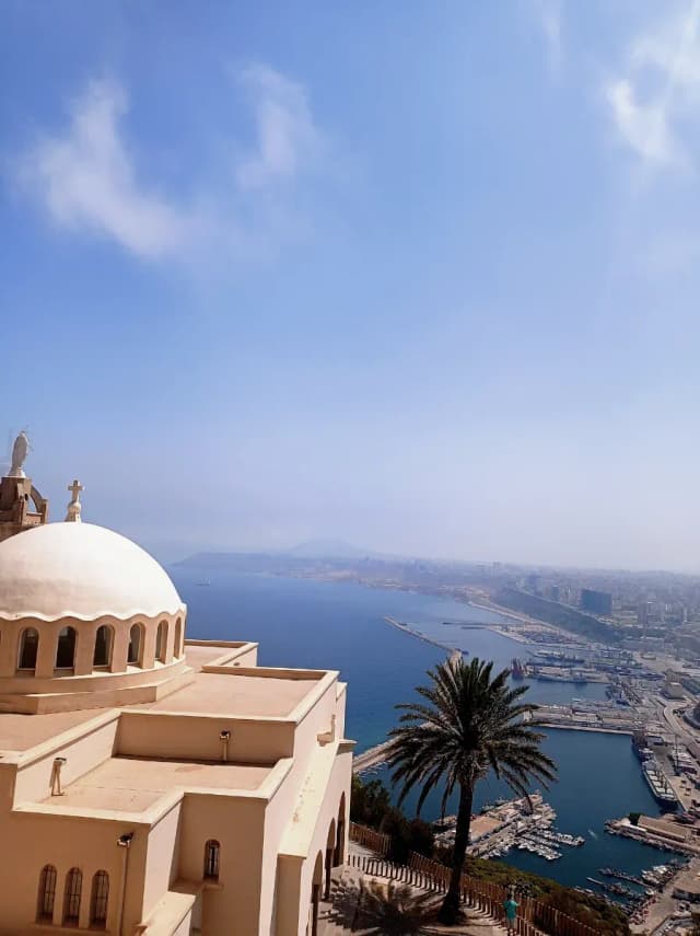 overview image