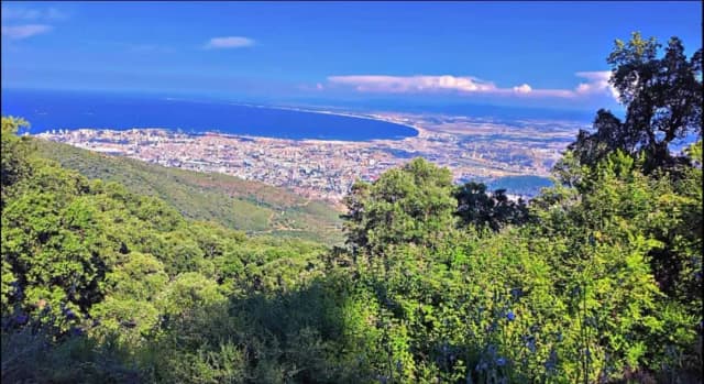 overview image