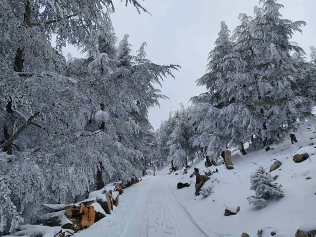 overview image