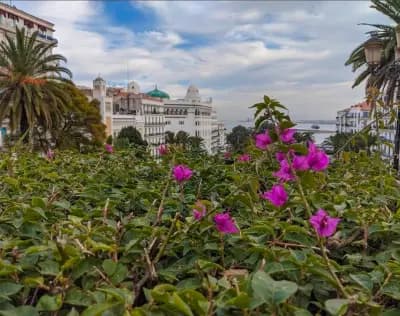 grande-poste-dalger-alger-i3