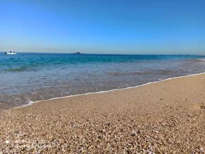 plage-el-kadous-ain-taya-alger-i2