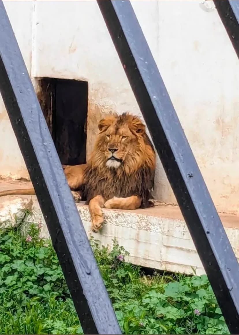 Parc Zoologique de Ben Aknoun