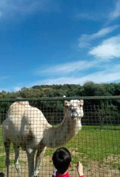 parc-zoologique-de-ben-aknoun-alger-i5