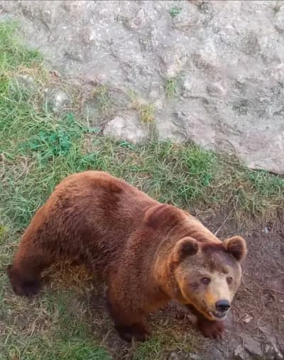 parc-zoologique-de-ben-aknoun-alger-i6
