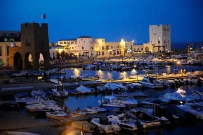 port-de-sidi-fredj-a-alger-alger-i1