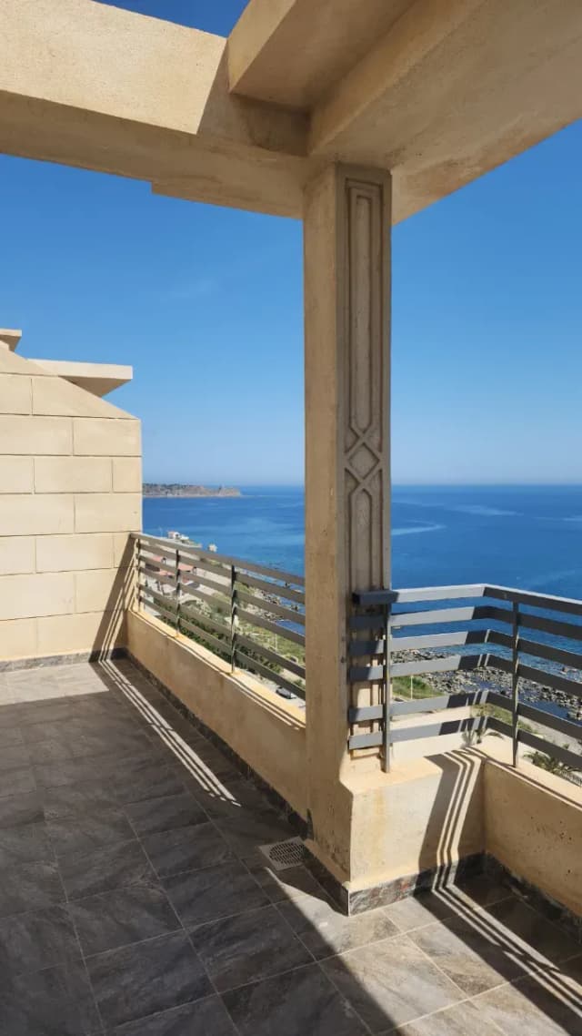 overview image