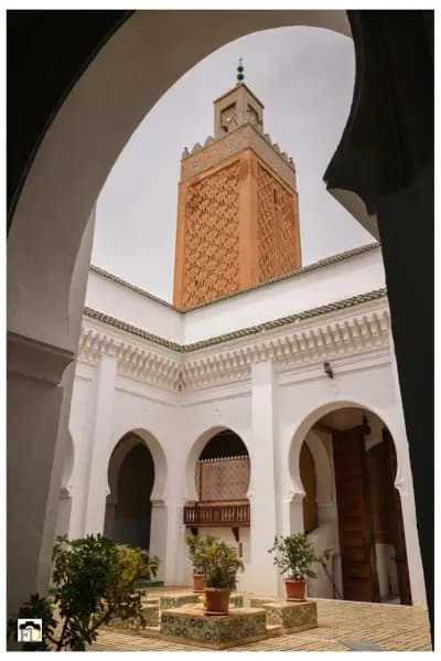 lessentiel-de-tlemcen-tlemcen-i3