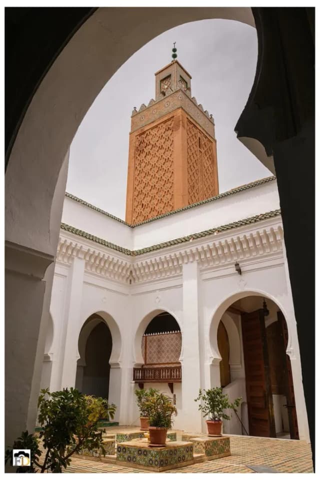 overview image