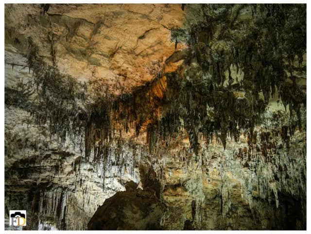 overview image