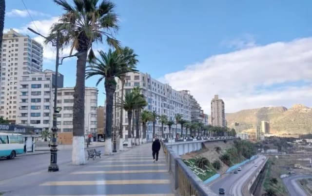 overview image