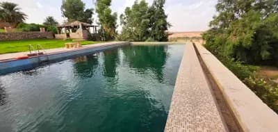 ferme-habib-ghardaia-ghardaia-i1
