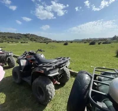 quad-algerie-alger-i0