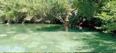 hammam-sidi-abdelli-tlemcen-i0