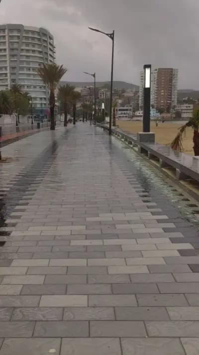 boulvard-chapuis-annaba-i1