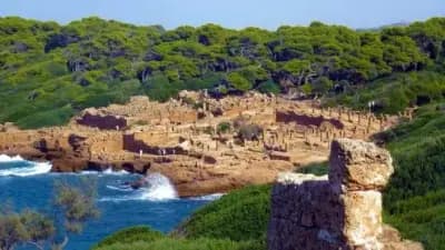 site-de-tipasa-tipaza-i0