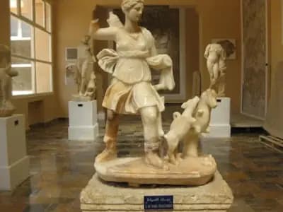 musee-public-national-de-cherchell-tipaza-i0