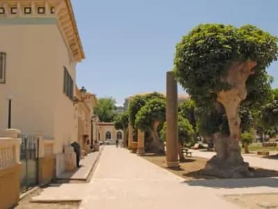 musee-public-national-de-cherchell-tipaza-i1