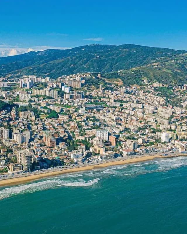 overview image