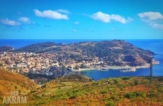 overview image