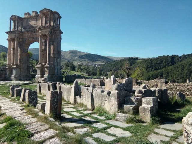 overview image
