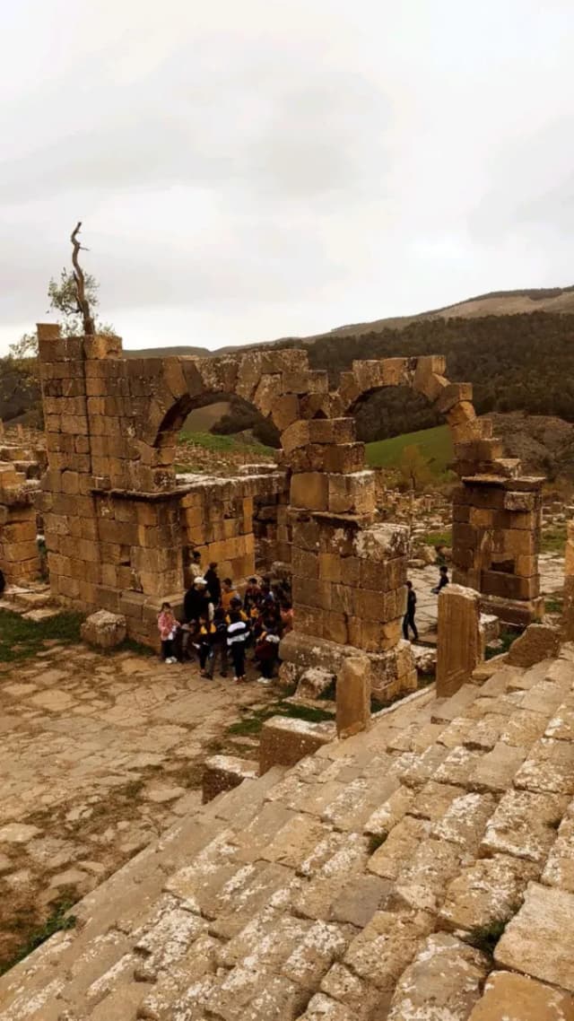 overview image