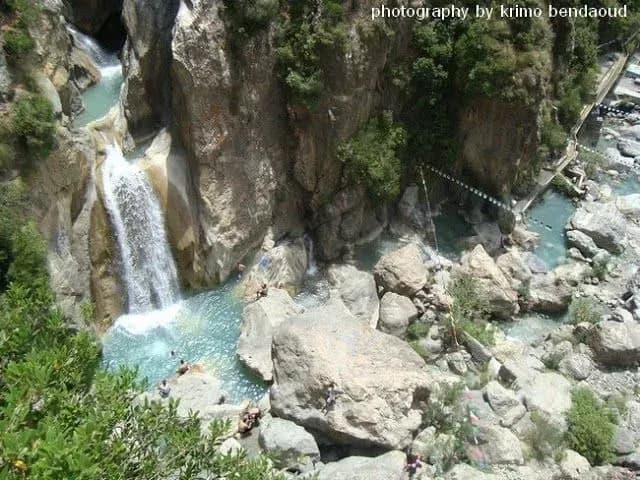 overview image