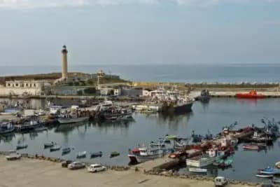 ilot-sid-ali-ferki-tipaza-i0
