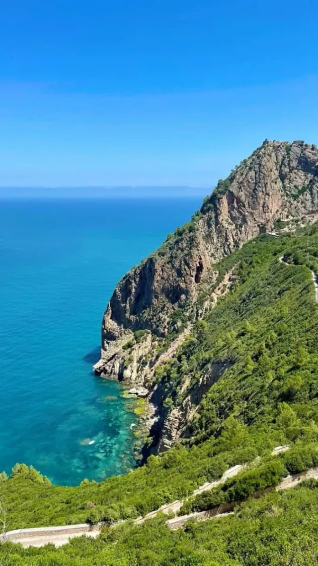 overview image