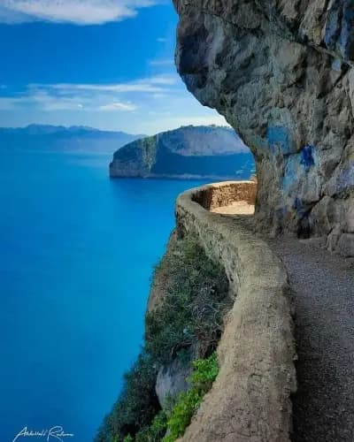 cap-carbon-bejaia-i2