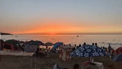 les-trois-ilots-tipaza-i2