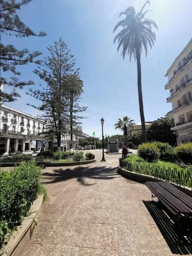 overview image