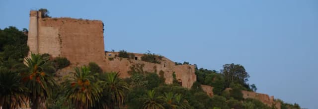 overview image